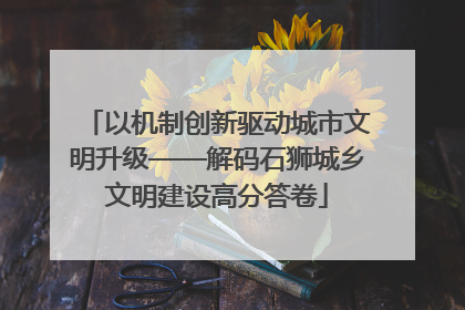 以机制创新驱动城市文明升级——解码石狮城乡文明建设高分答卷