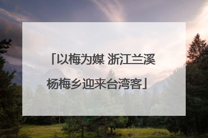 以梅为媒 浙江兰溪杨梅乡迎来台湾客