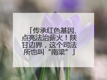 传承红色基因、点亮法治薪火！陕甘边界，这个司法所也叫“南梁”
