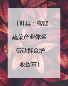叶县：构建蔬菜产业体系 带动群众增收致富