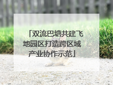 双流巴塘共建飞地园区打造跨区域产业协作示范