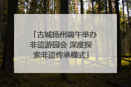 古城扬州端午举办非遗游园会 深度探索非遗传承模式