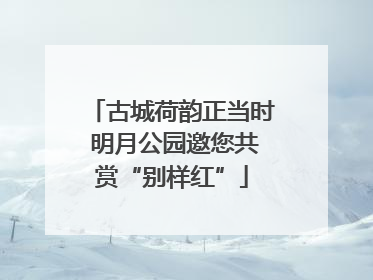 古城荷韵正当时 明月公园邀您共赏“别样红”