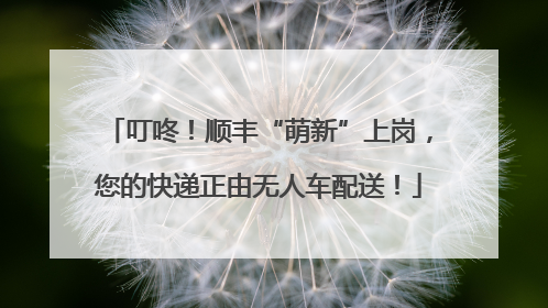 叮咚！顺丰“萌新”上岗，您的快递正由无人车配送！