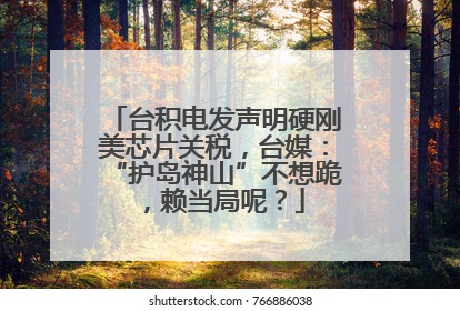 台积电发声明硬刚美芯片关税，台媒：“护岛神山”不想跪，赖当局呢？