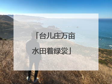 台儿庄万亩水田着绿裳