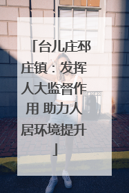 台儿庄邳庄镇：发挥人大监督作用 助力人居环境提升