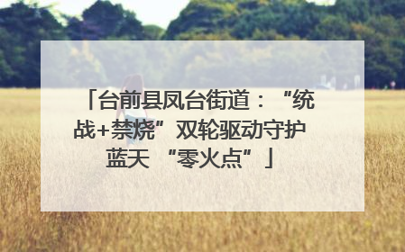 台前县凤台街道：“统战+禁烧”双轮驱动守护蓝天 “零火点”