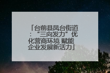 台前县凤台街道：“三向发力”优化营商环境 赋能企业发展新活力