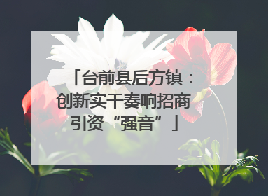 台前县后方镇：创新实干奏响招商引资“强音”
