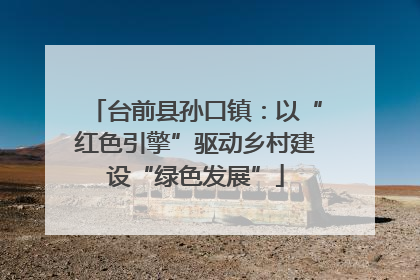 台前县孙口镇：以“红色引擎”驱动乡村建设“绿色发展”