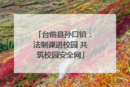 台前县孙口镇：法制课进校园 共筑校园安全网