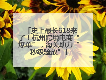 史上最长618来了！杭州跨境电商“爆单”，海关助力“秒级验放”