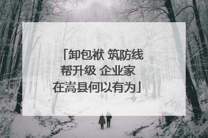 卸包袱 筑防线 帮升级 企业家在嵩县何以有为