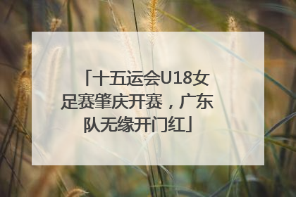 十五运会U18女足赛肇庆开赛，广东队无缘开门红