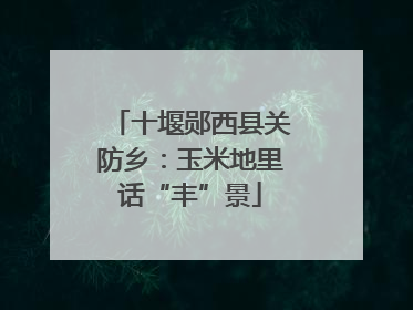 十堰郧西县关防乡：玉米地里话“丰”景