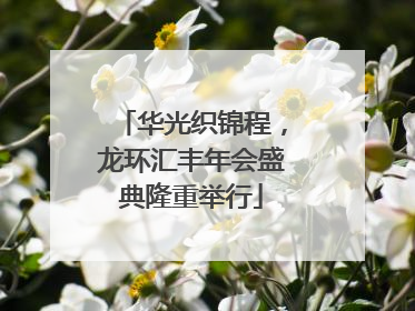 华光织锦程，龙环汇丰年会盛典隆重举行