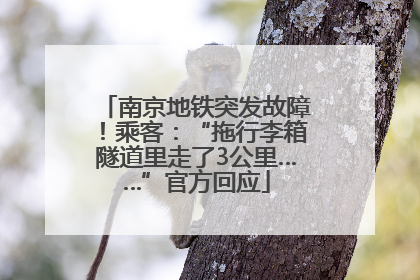 南京地铁突发故障！乘客：“拖行李箱隧道里走了3公里……”官方回应