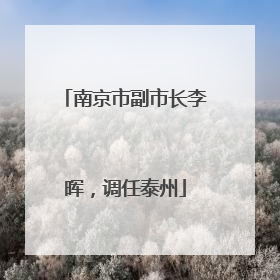 南京市副市长李晖，调任泰州