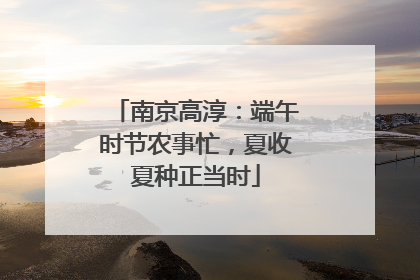 南京高淳：端午时节农事忙，夏收夏种正当时
