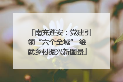 南充蓬安：党建引领“六个全域” 绘就乡村振兴新图景