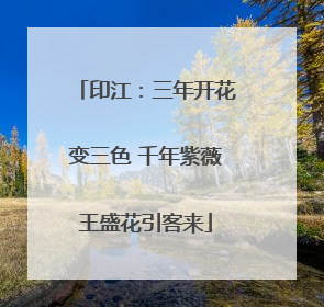 印江：三年开花变三色 千年紫薇王盛花引客来