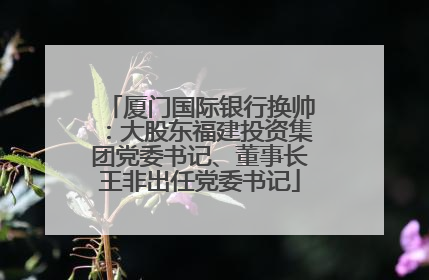 厦门国际银行换帅：大股东福建投资集团党委书记、董事长王非出任党委书记