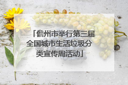 儋州市举行第三届全国城市生活垃圾分类宣传周活动
