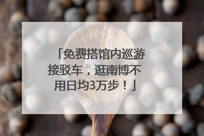 免费搭馆内巡游接驳车，逛南博不用日均3万步！