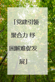 党建引领聚合力 纾困解难促发展