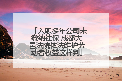 入职多年公司未缴纳社保 成都大邑法院依法维护劳动者权益这样判