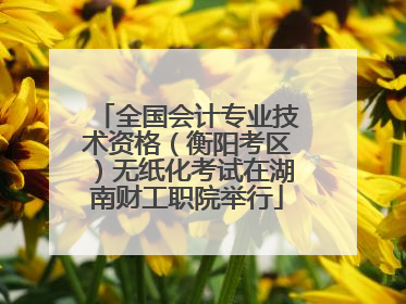 全国会计专业技术资格（衡阳考区）无纸化考试在湖南财工职院举行