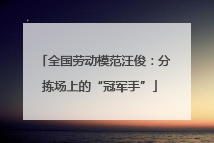 全国劳动模范汪俊：分拣场上的“冠军手”