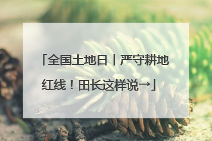 全国土地日丨严守耕地红线！田长这样说→