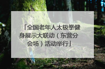 全国老年人太极拳健身展示大联动（东营分会场）活动举行