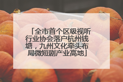 全市首个区级视听行业协会落户杭州钱塘，九州文化牵头布局微短剧产业高地