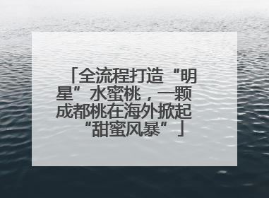 全流程打造“明星”水蜜桃，一颗成都桃在海外掀起“甜蜜风暴”