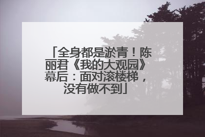 全身都是淤青！陈丽君《我的大观园》幕后：面对滚楼梯，没有做不到