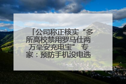 公司称正核实“多所高校禁用罗马仕两万毫安充电宝” 专家：预防手机没电选中等体积产品即可