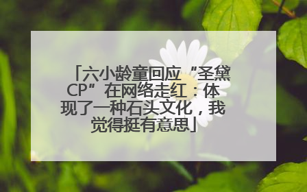 六小龄童回应“圣黛CP”在网络走红：体现了一种石头文化，我觉得挺有意思