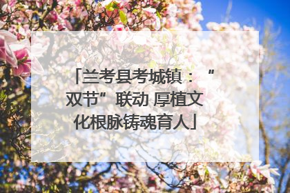 兰考县考城镇：“双节”联动 厚植文化根脉铸魂育人