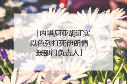 内塔尼亚胡证实以色列打死伊朗情报部门负责人