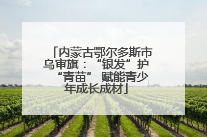 内蒙古鄂尔多斯市乌审旗：“银发”护“青苗” 赋能青少年成长成材