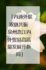 内通外联双链共振 泉州洛江内外贸易高质量发展开新局