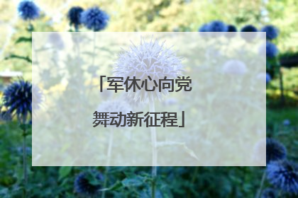 军休心向党 舞动新征程