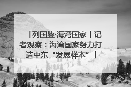 列国鉴·海湾国家丨记者观察：海湾国家努力打造中东“发展样本”
