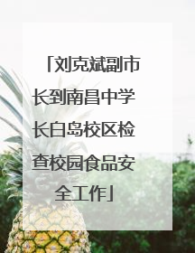 刘克斌副市长到南昌中学长白岛校区检查校园食品安全工作