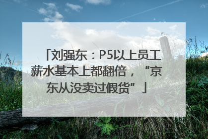 刘强东：P5以上员工薪水基本上都翻倍，“京东从没卖过假货”