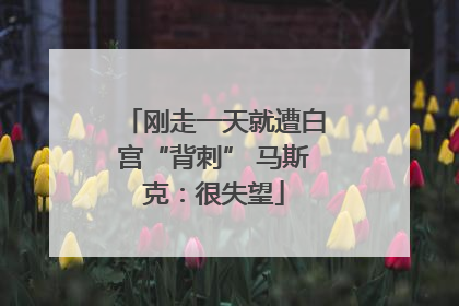 刚走一天就遭白宫“背刺” 马斯克：很失望
