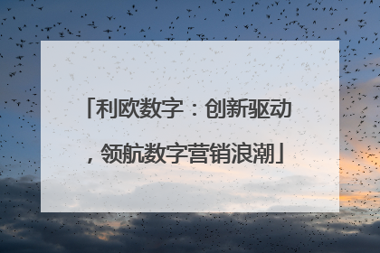利欧数字：创新驱动，领航数字营销浪潮